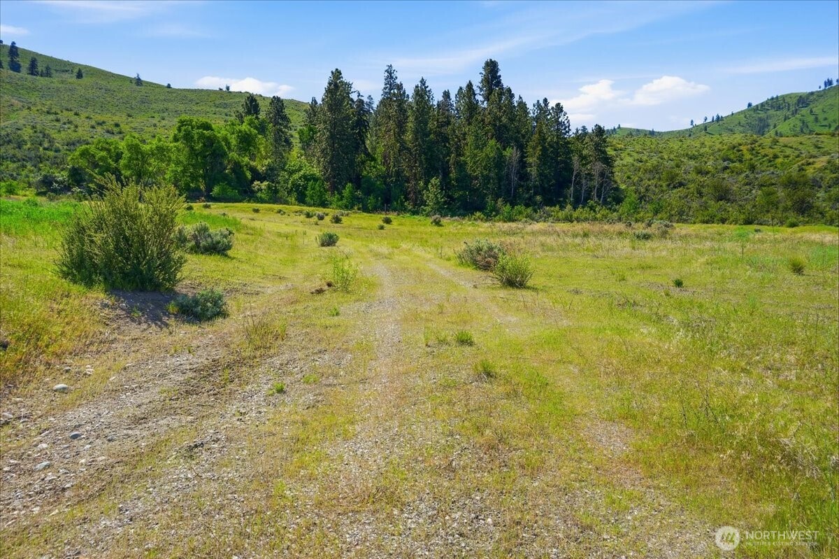 3725 Us Highway 97a Property Photo 16