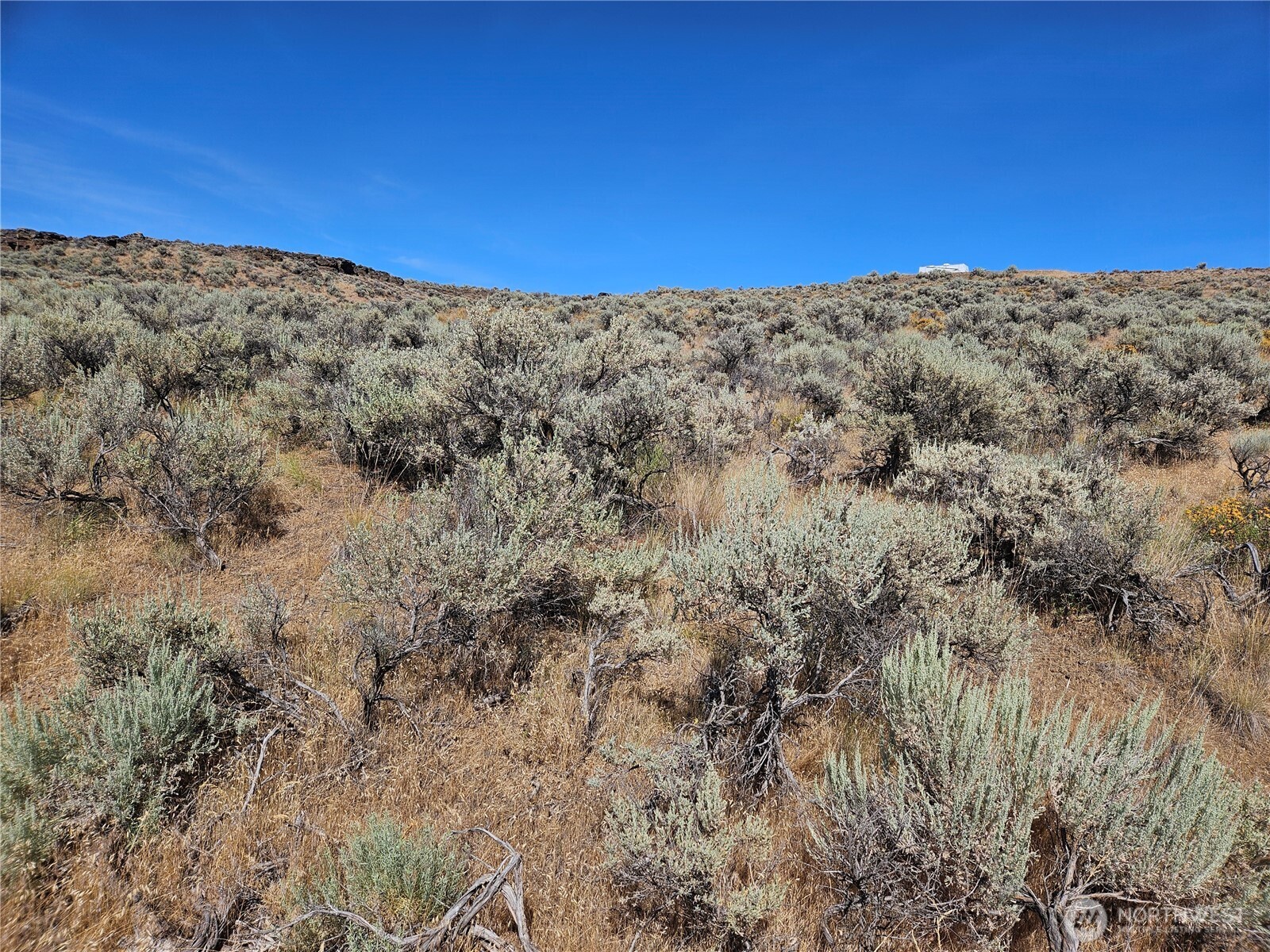 47 Hackamore Dr Property Photo 4
