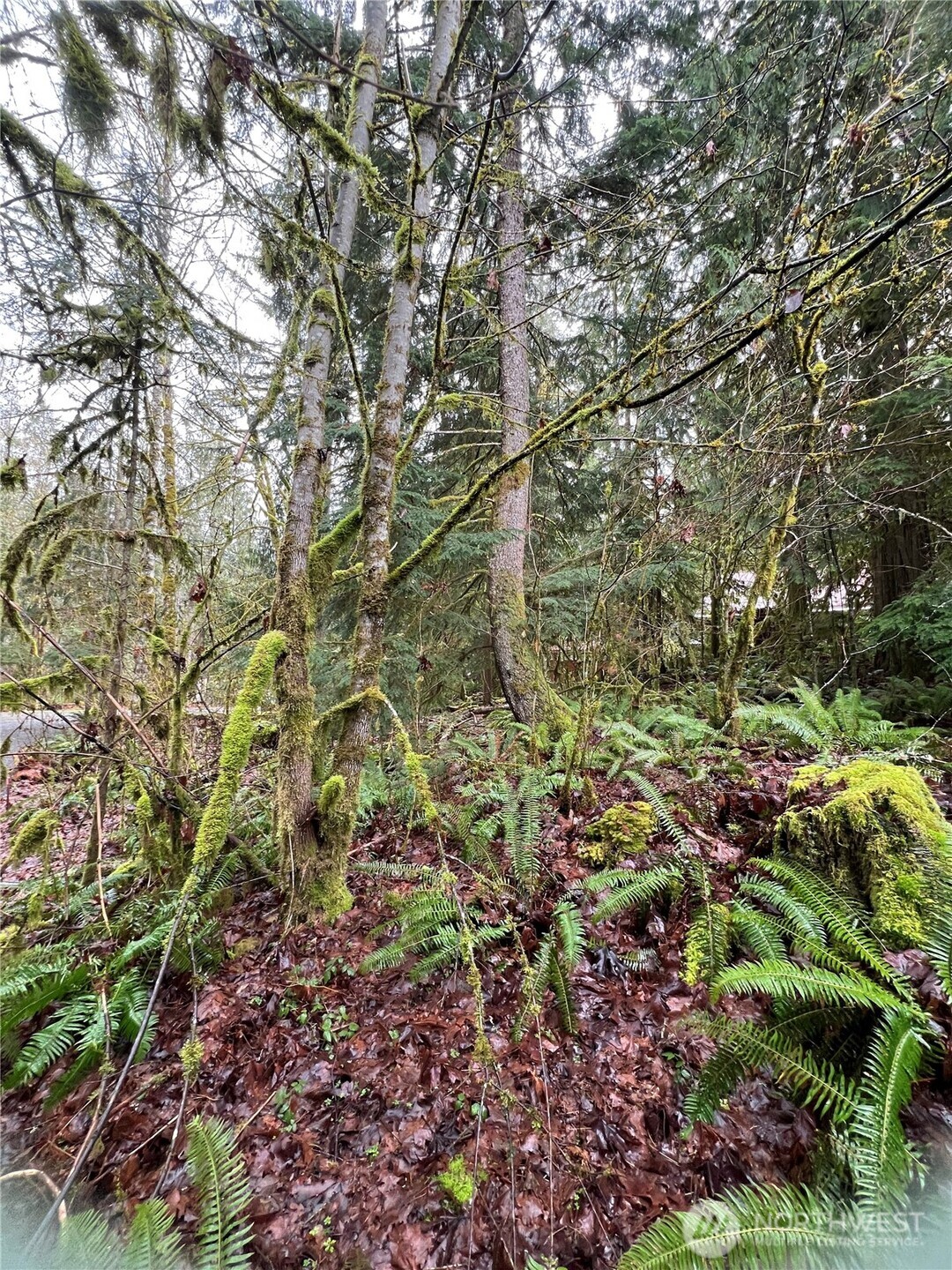 15026 Iceberg Road Property Photo 1