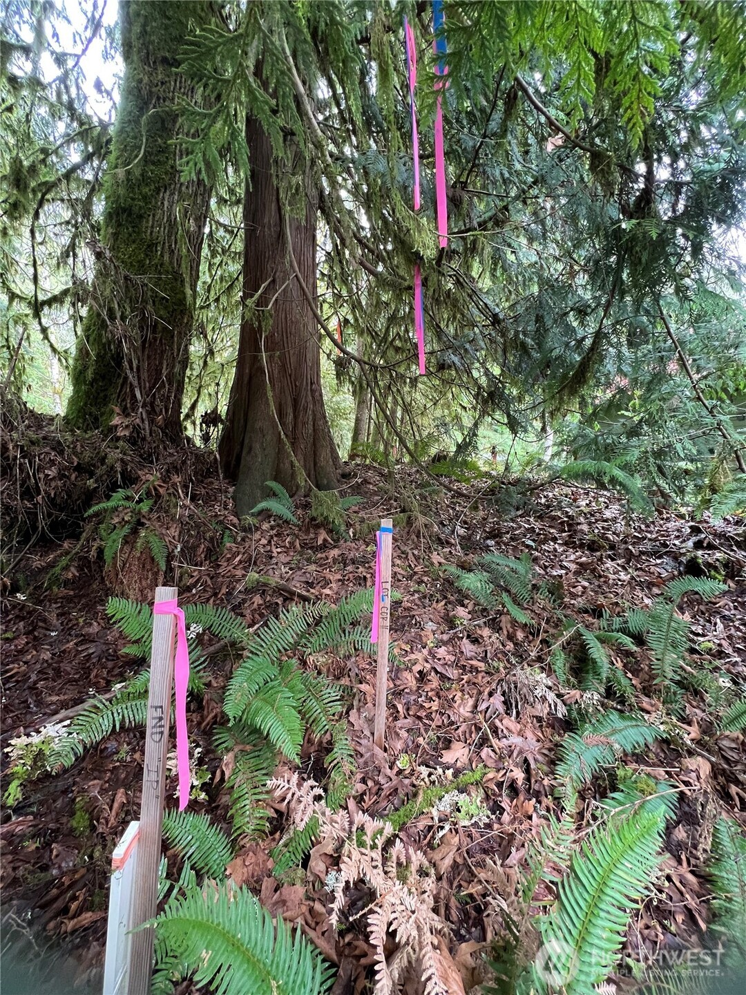 15026 Iceberg Road Property Photo 2