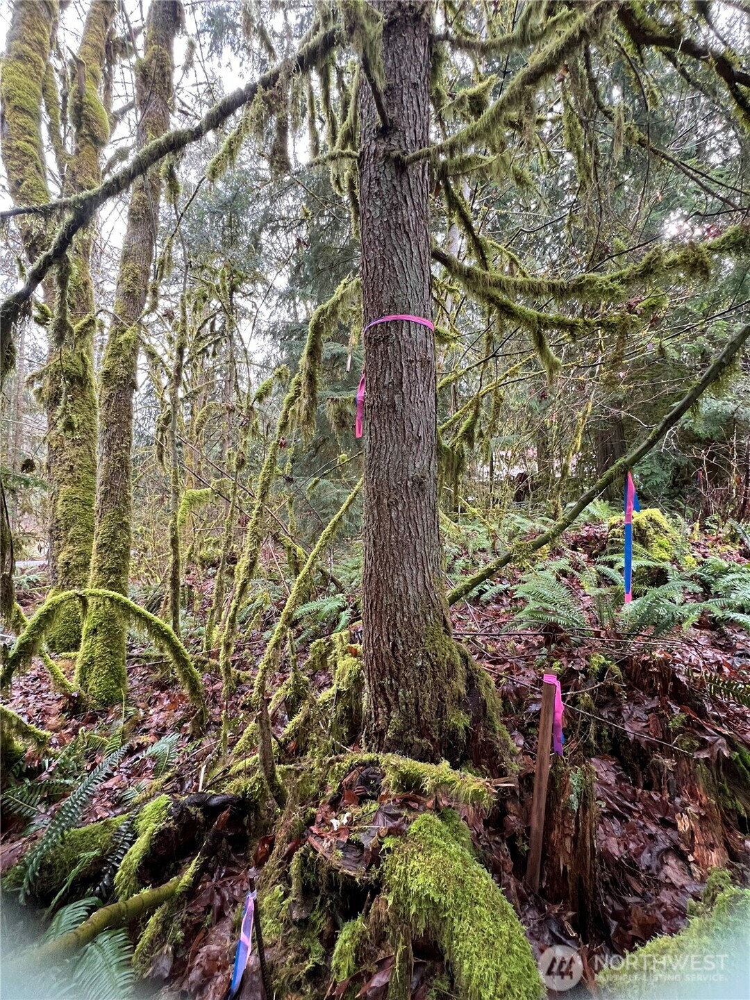 15026 Iceberg Road Property Photo 3
