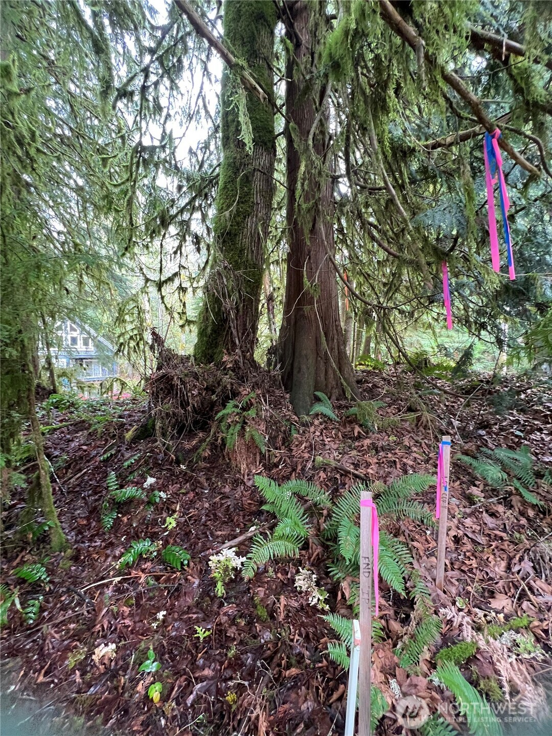 15026 Iceberg Road Property Photo 4