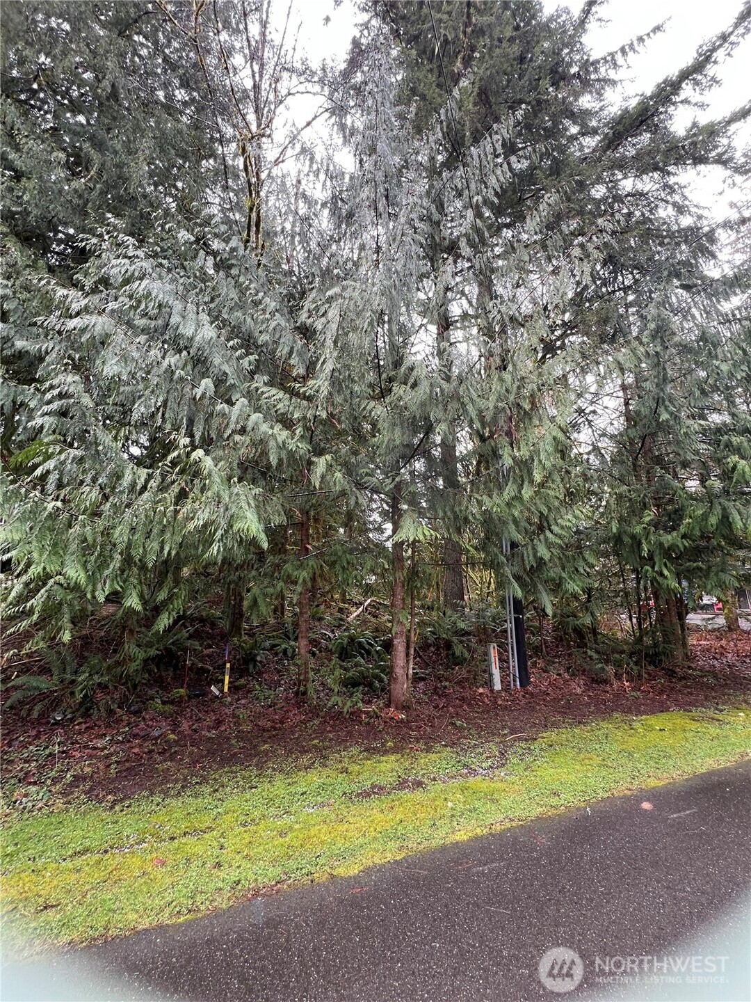 15026 Iceberg Road Property Photo 6