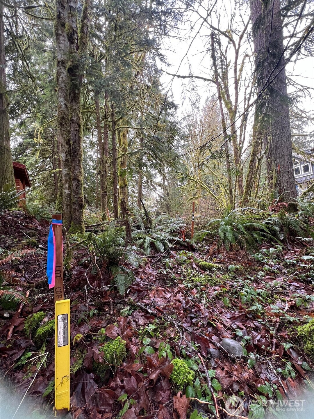15026 Iceberg Road Property Photo 7