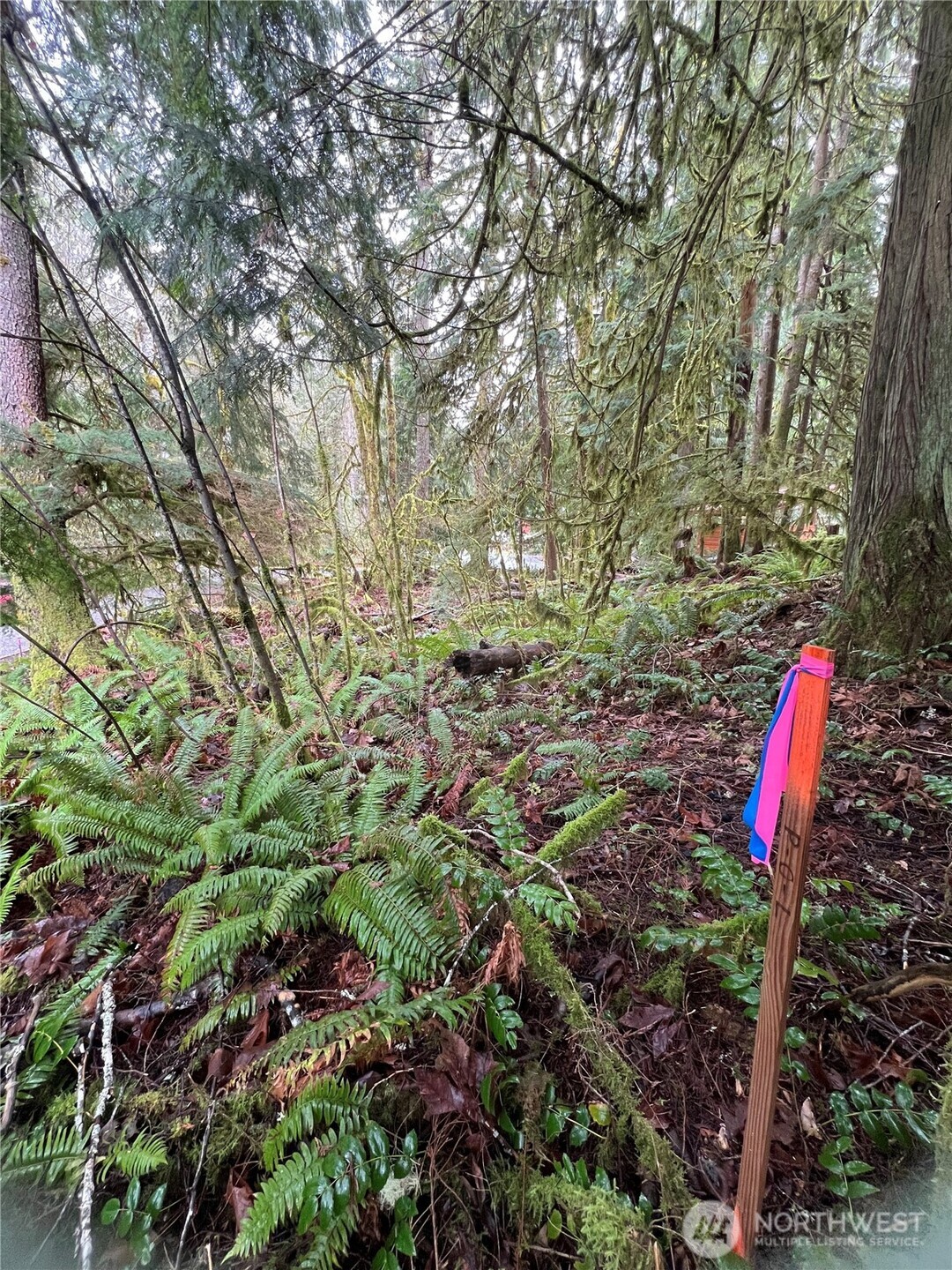 15026 Iceberg Road Property Photo 8