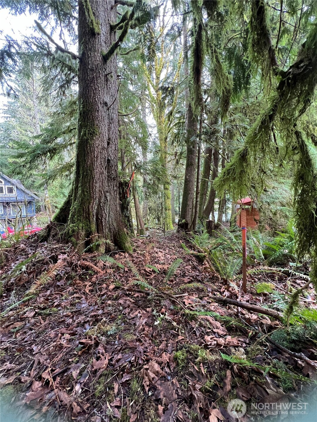 15026 Iceberg Road Property Photo 9