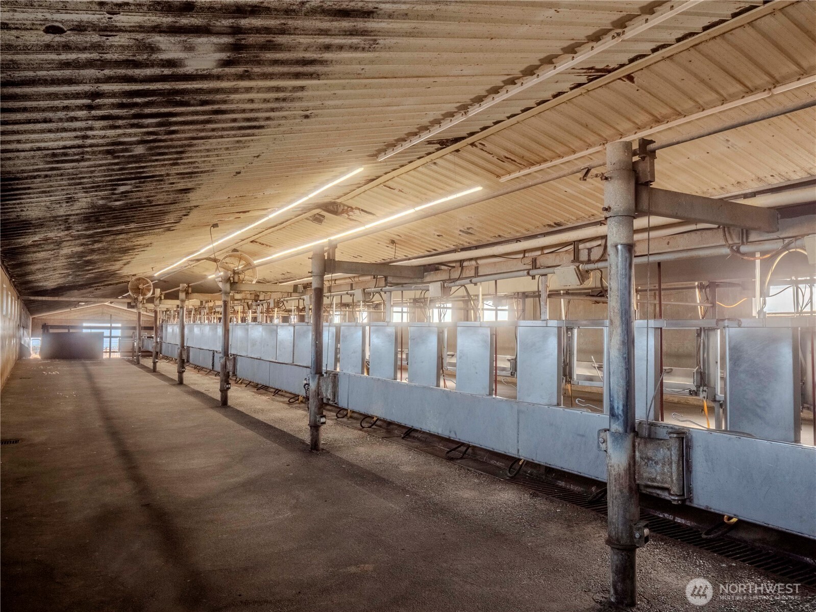 1400 Lewandowski Road Property Photo 13
