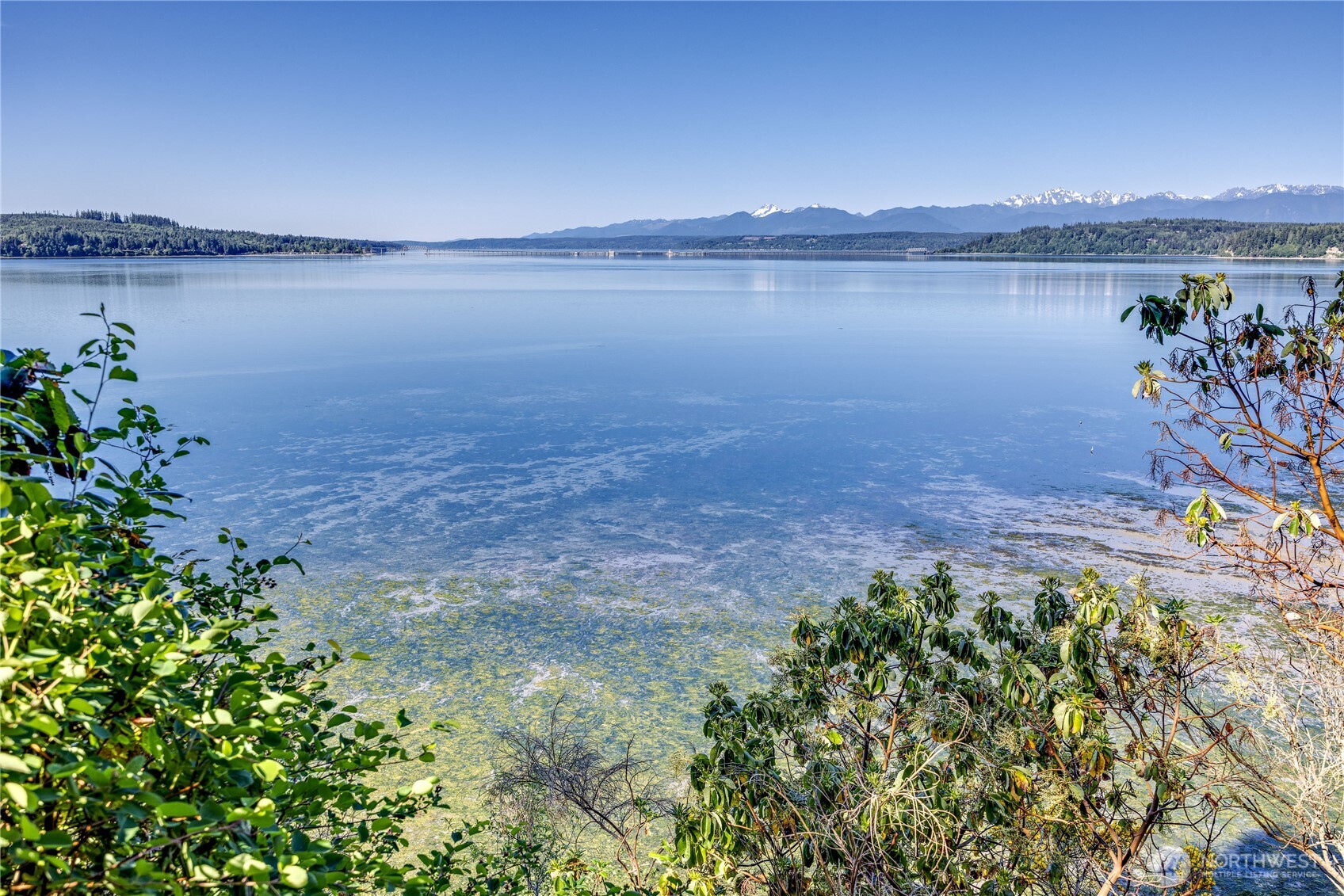 35275 Hood Canal Drive Property Photo 5