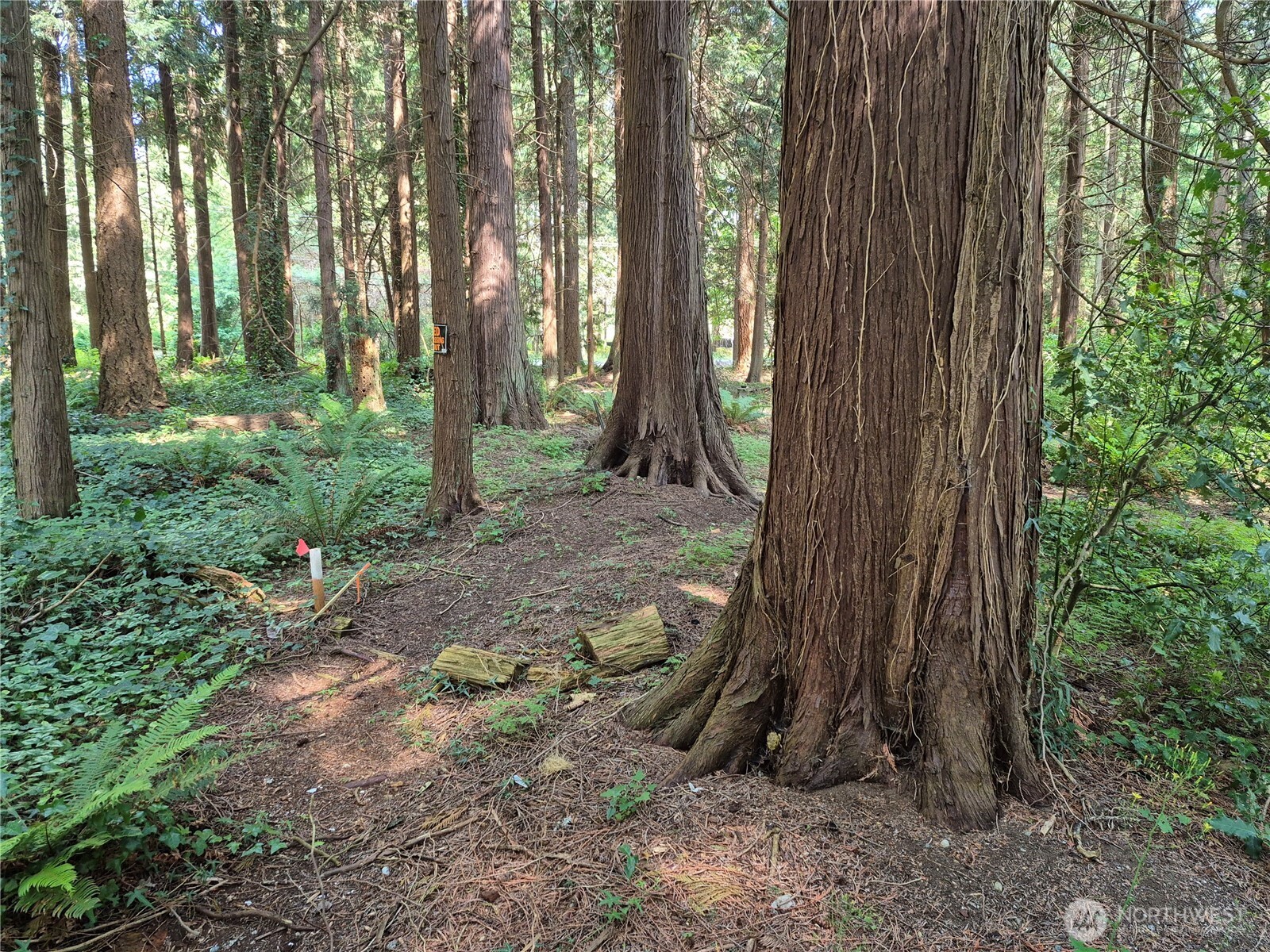 35275 Hood Canal Drive Property Photo 9