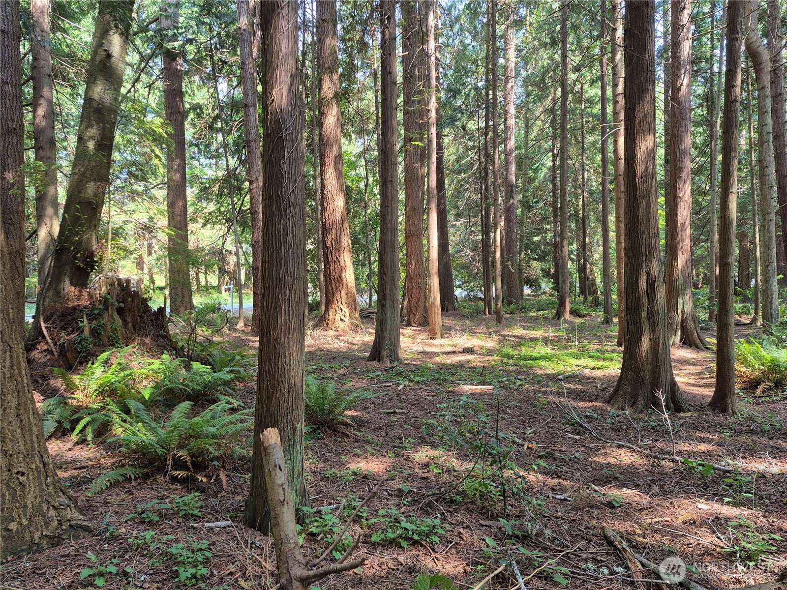 35275 Hood Canal Drive Property Photo 10