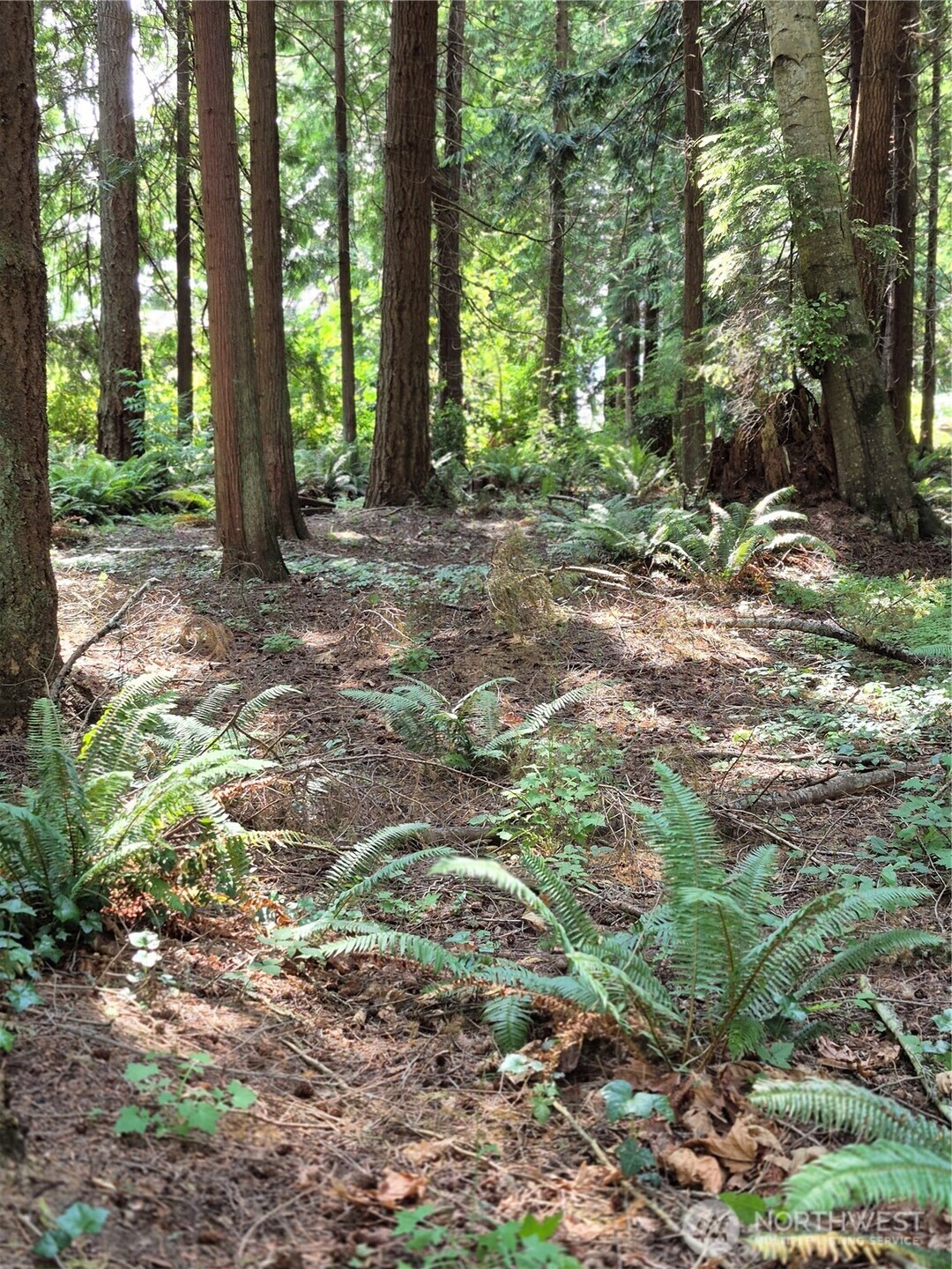 35275 Hood Canal Drive Property Photo 11