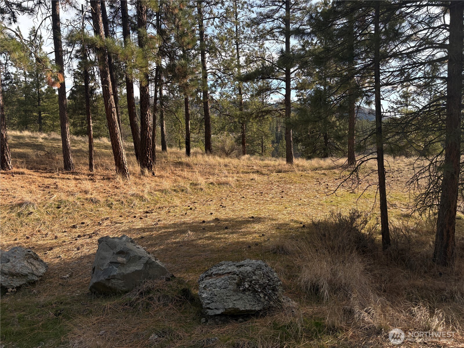 2 Mist Lake Road Property Photo 1