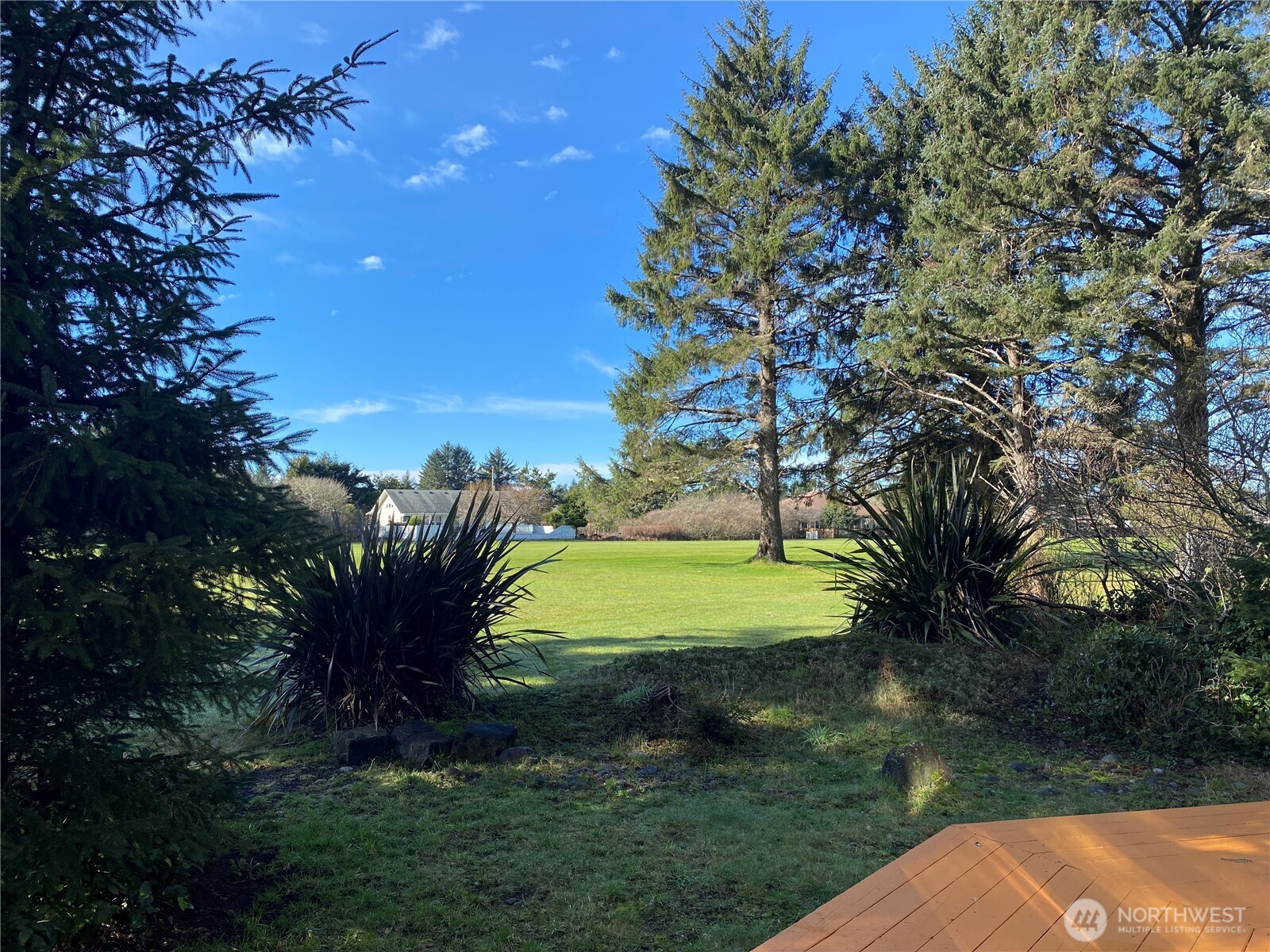 169 Octopus Avenue Property Photo 29
