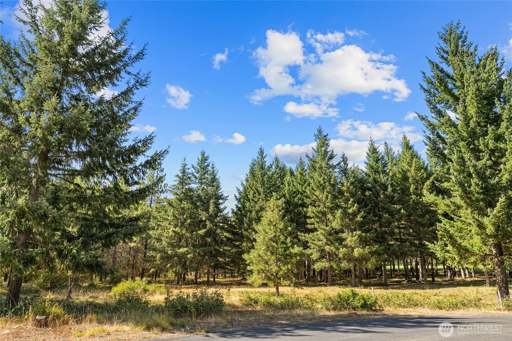 51 Big Bug Lane Property Photo 1