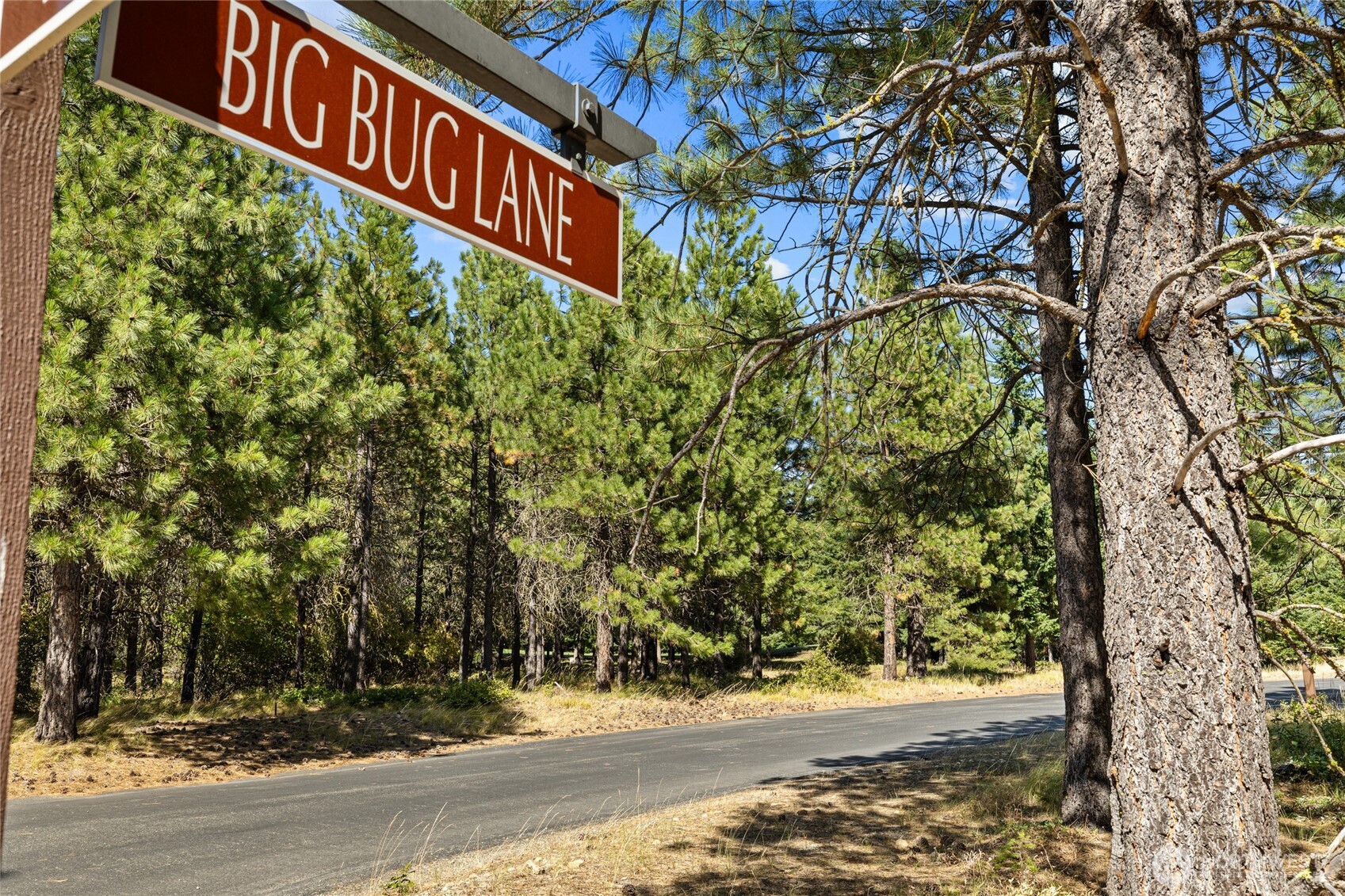 51 Big Bug Lane Property Photo 2