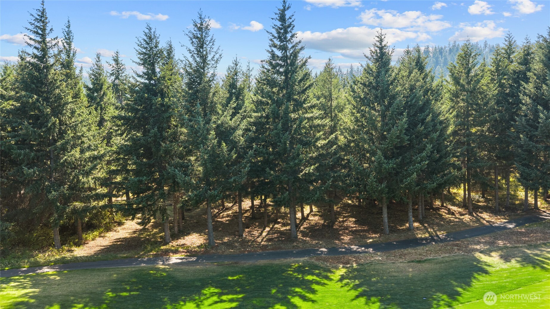 51 Big Bug Lane Property Photo 6