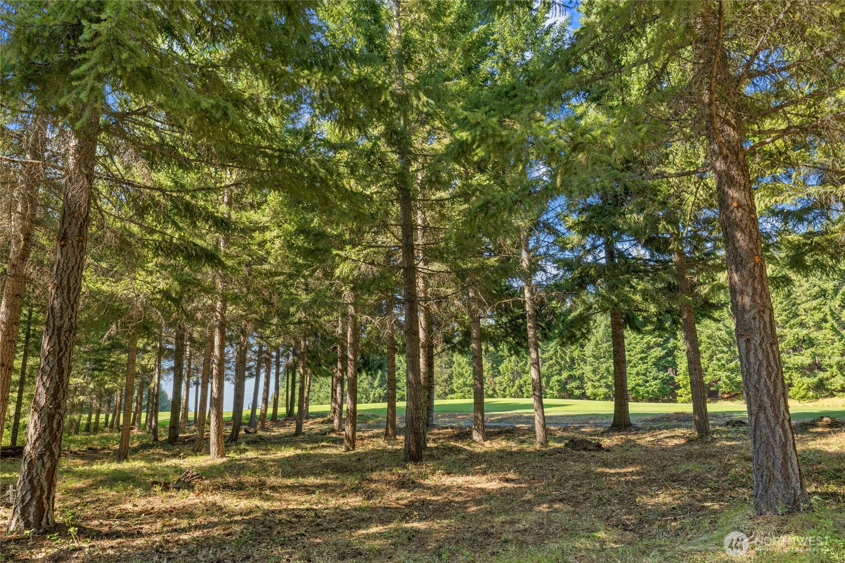 51 Big Bug Lane Property Photo 10