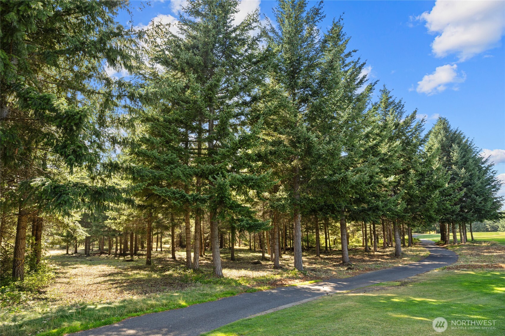 51 Big Bug Lane Property Photo 11