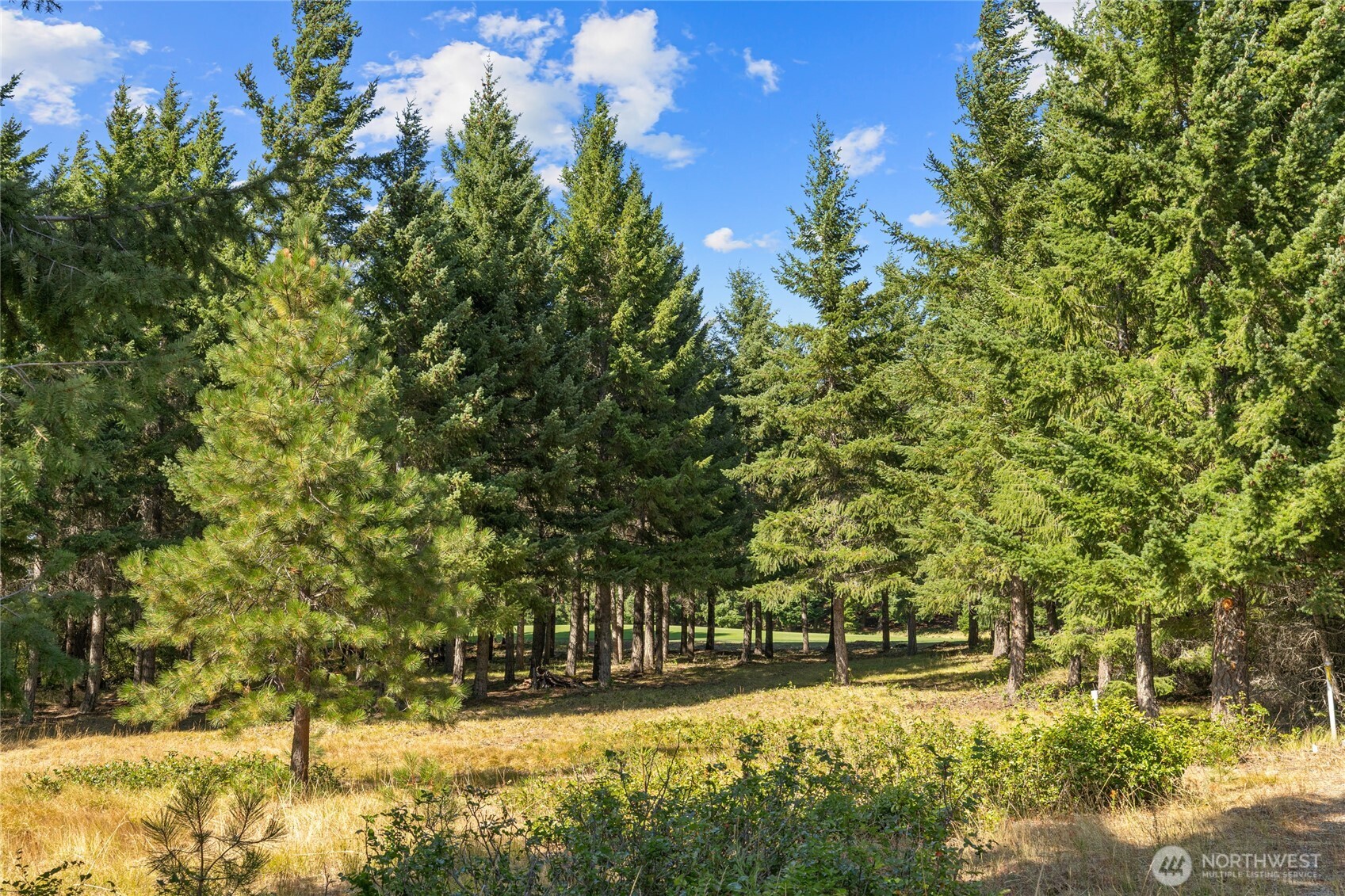 51 Big Bug Lane Property Photo 12