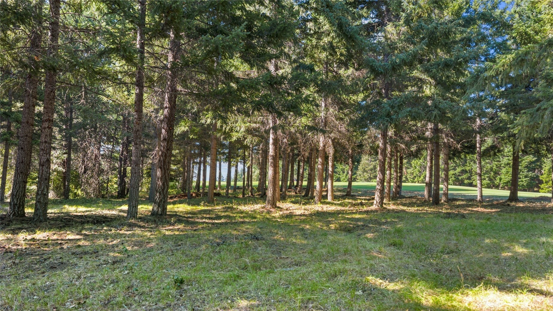 51 Big Bug Lane Property Photo 14