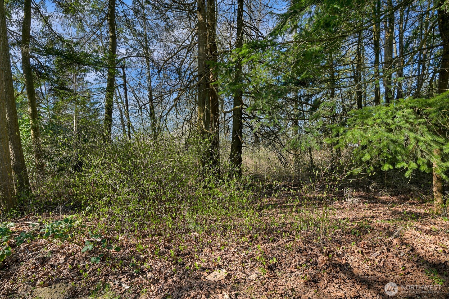 8385 Semiahmoo Drive Property Photo 6