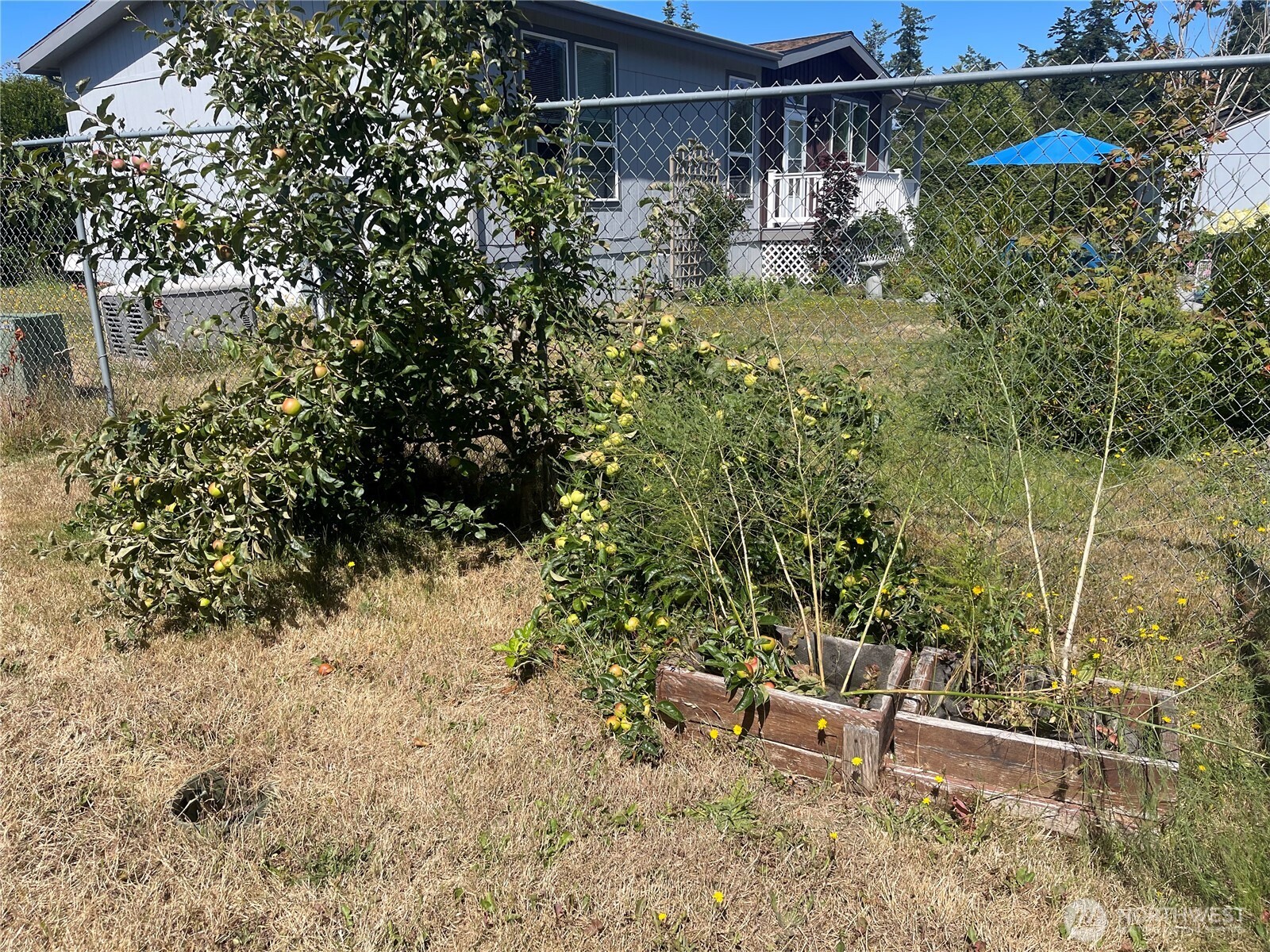 1785 Douglas Road 60 Property Photo 29