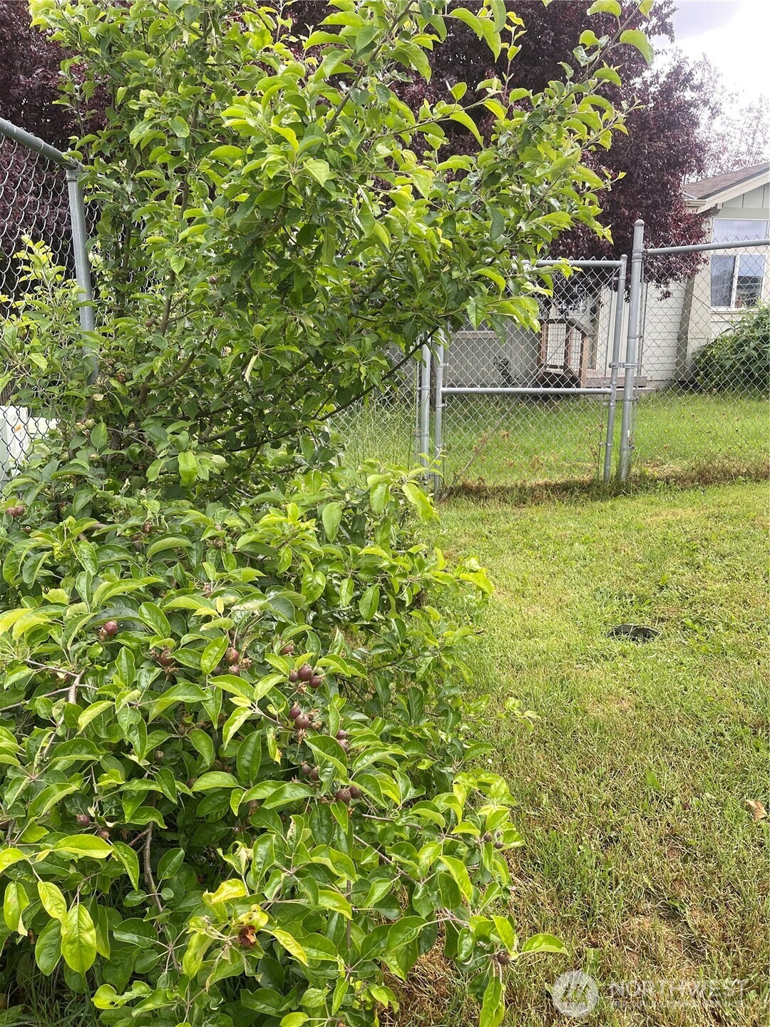 1785 Douglas Road 60 Property Photo 30