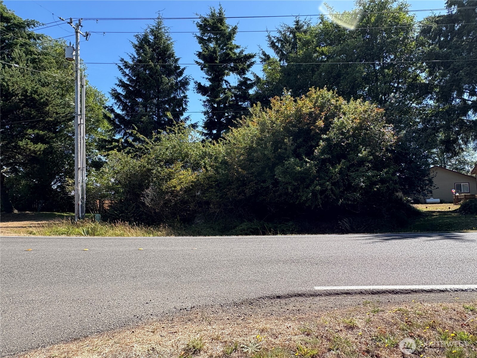 991 Mount Olympus Avenue Property Photo 3