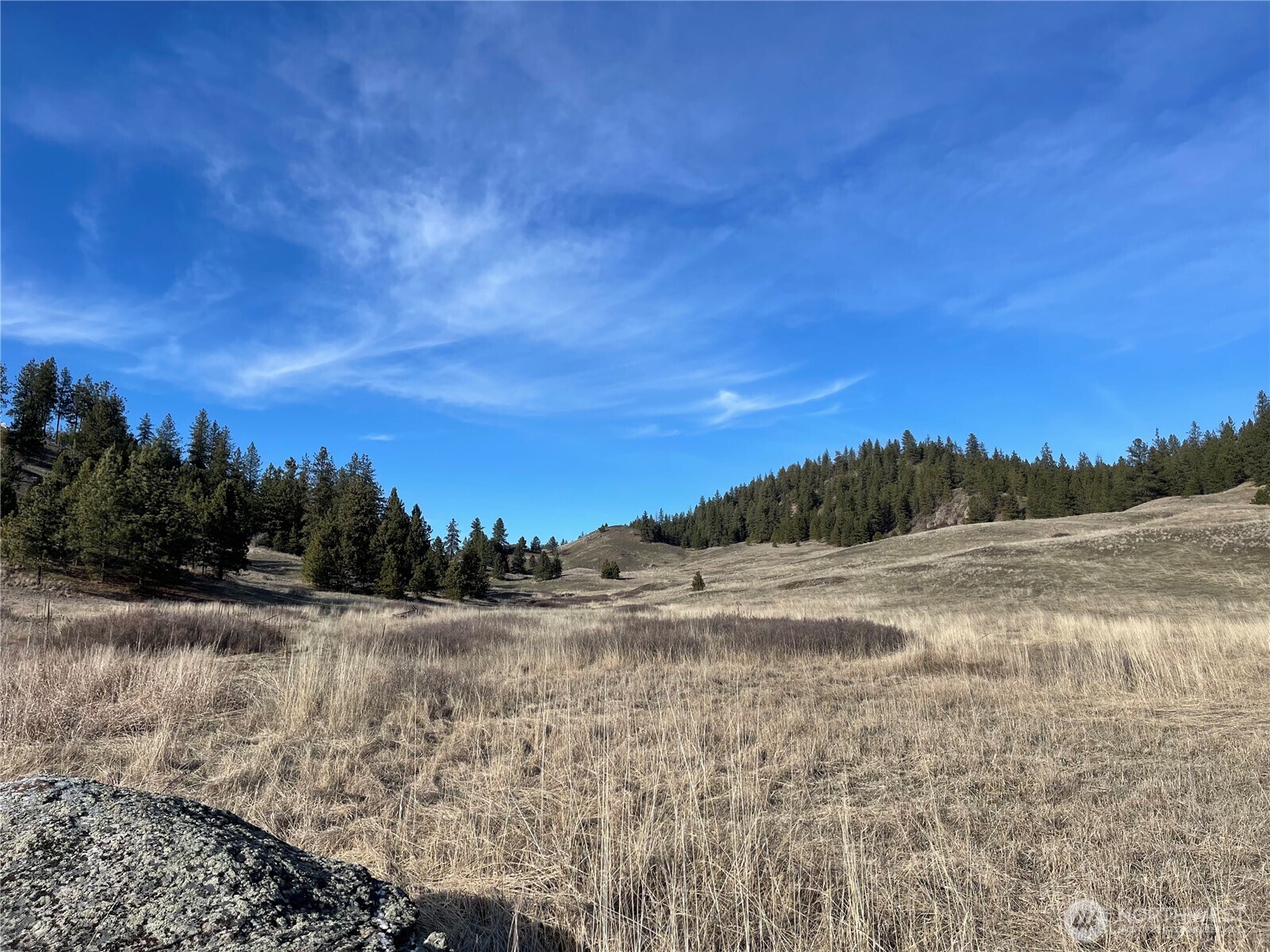 5170 Pheasant Way Property Photo 1