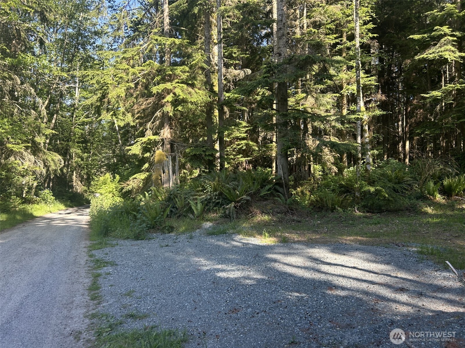 0 Xxx Forest View Lane Property Photo 2