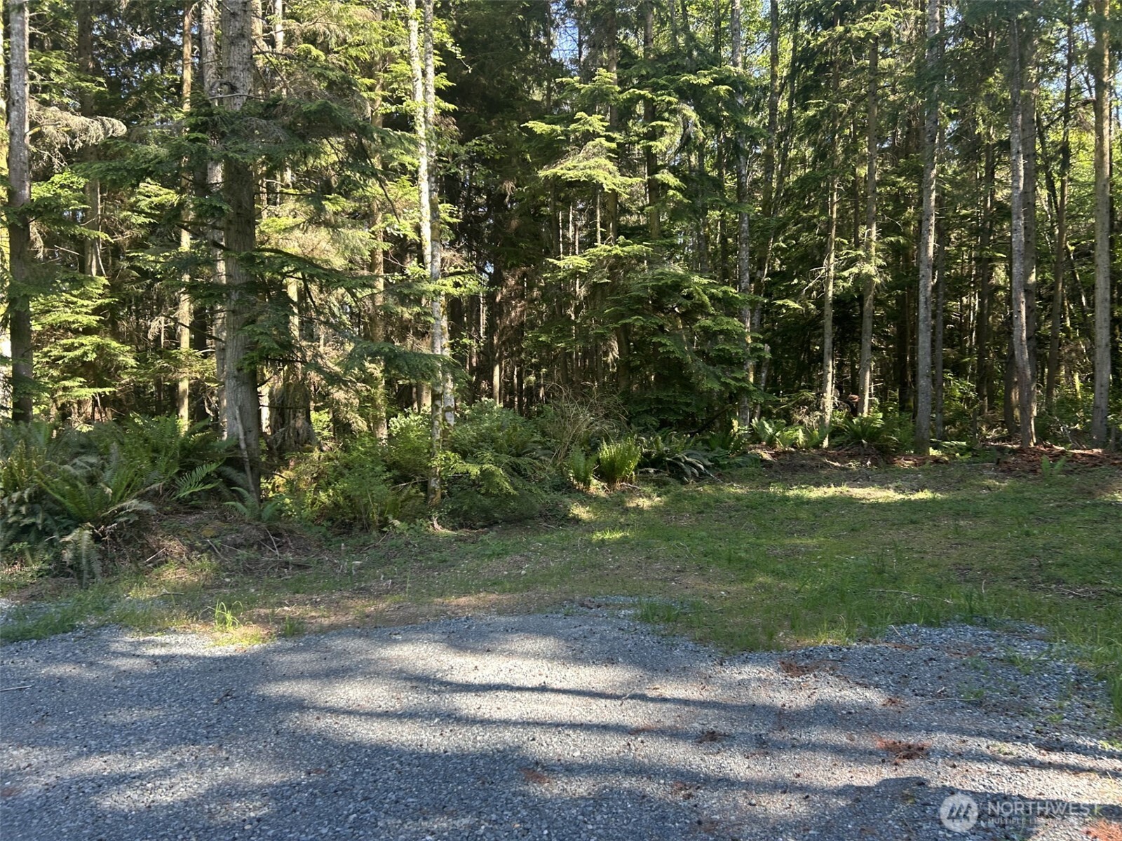 0 Xxx Forest View Lane Property Photo 3