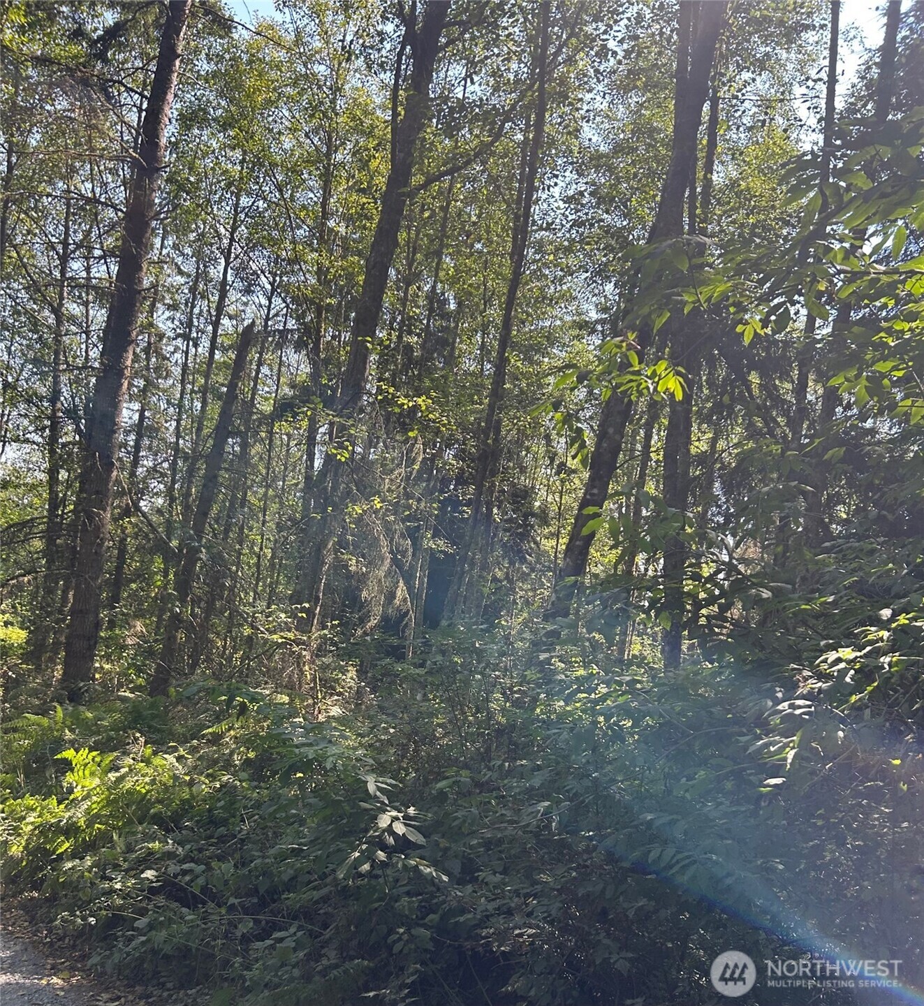 0 Xxx Forest View Lane Property Photo 4
