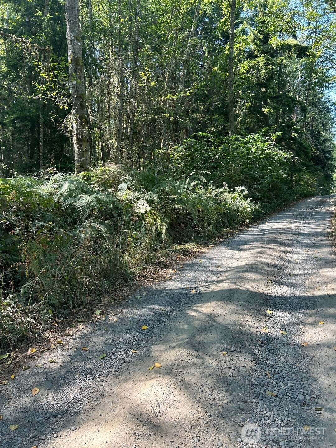 0 Xxx Forest View Lane Property Photo 5