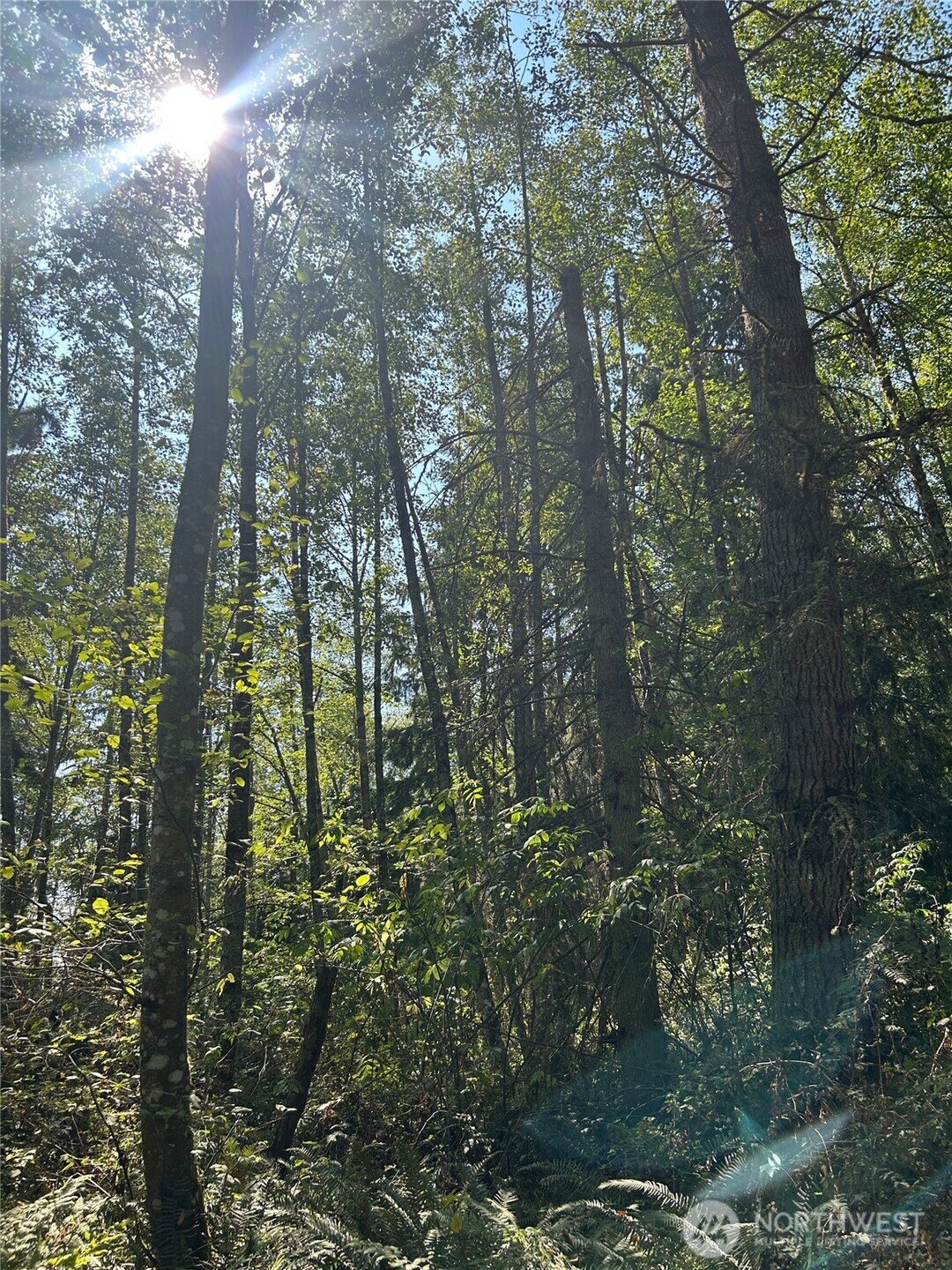 0 Xxx Forest View Lane Property Photo 6