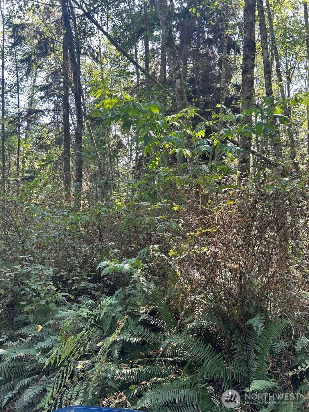 0 Xxx Forest View Lane Property Photo 8