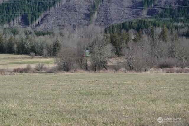0 Us Hwy. 12 Property Photo 8