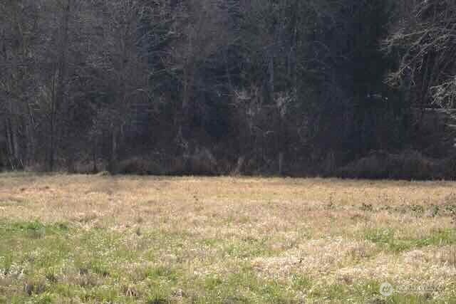 0 Us Hwy. 12 Property Photo 12