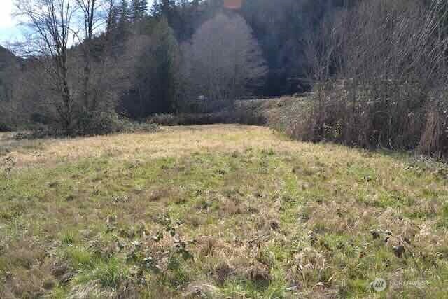 0 Us Hwy. 12 Property Photo 13