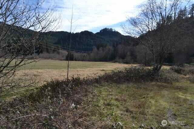 0 Us Hwy. 12 Property Photo 20