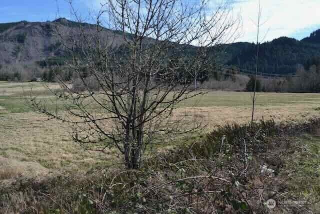 0 Us Hwy. 12 Property Photo 21