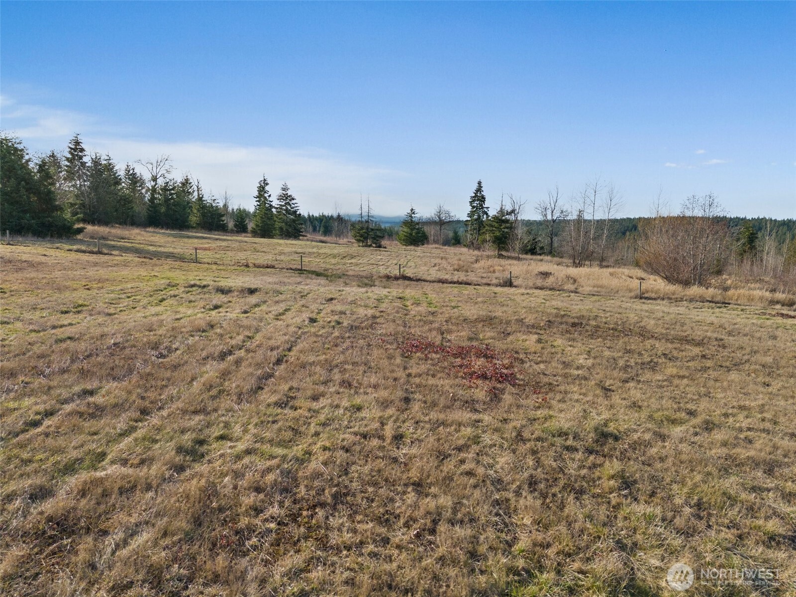 44010 14th Avenue Property Photo 9