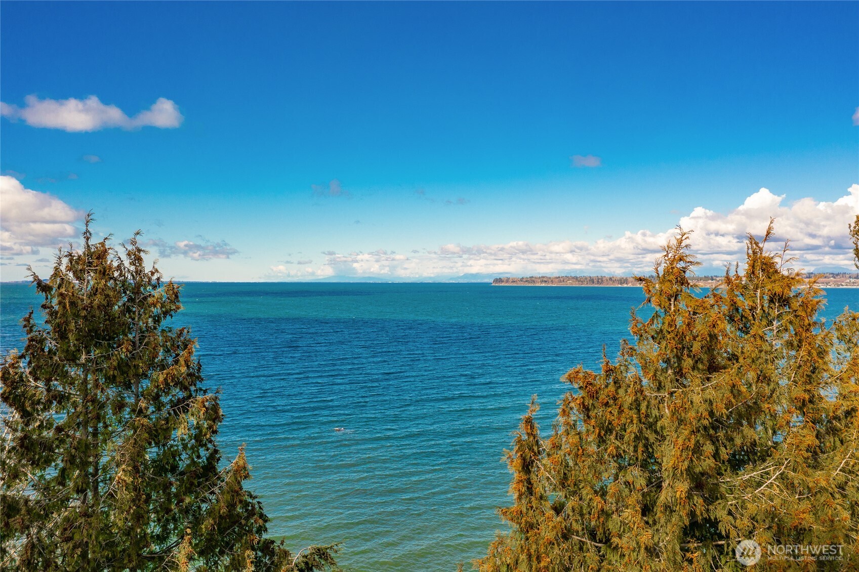 6955 Birch Bay Drive Property Photo 4