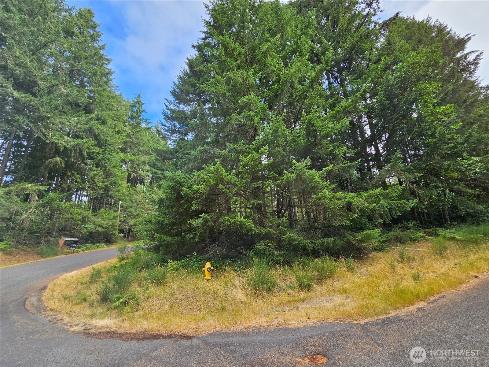 9325 123rd Avenue Property Photo 1