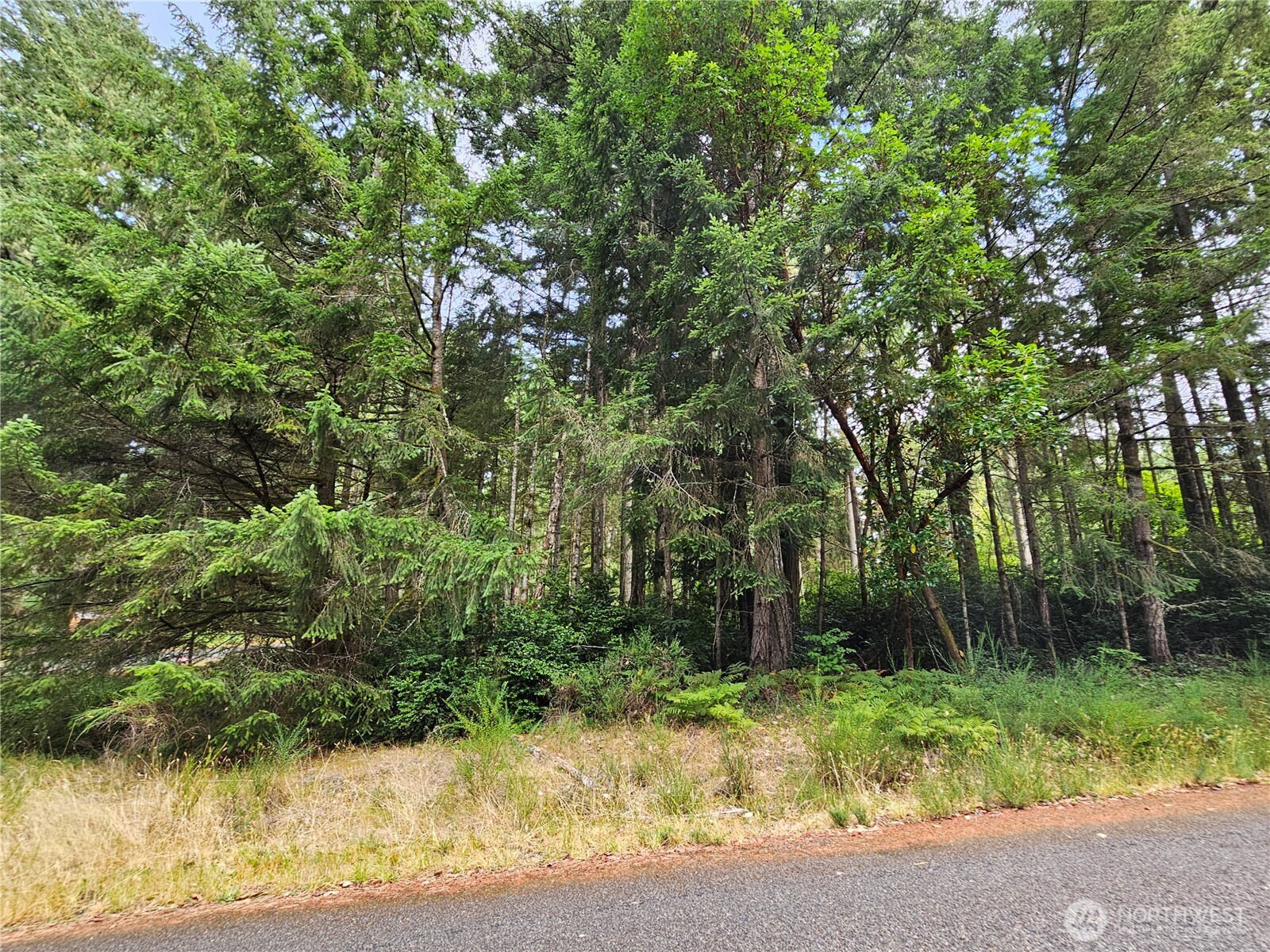 9325 123rd Avenue Property Photo 1