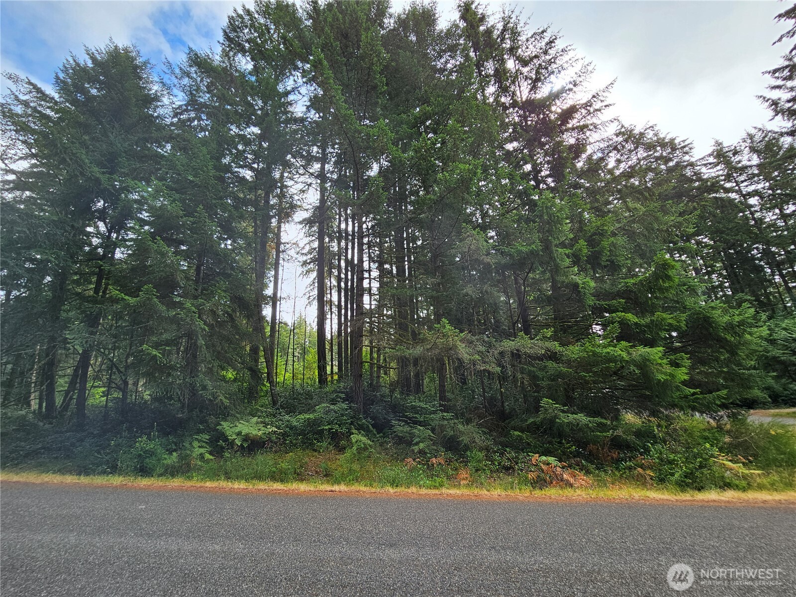 9325 123rd Avenue Property Photo 2