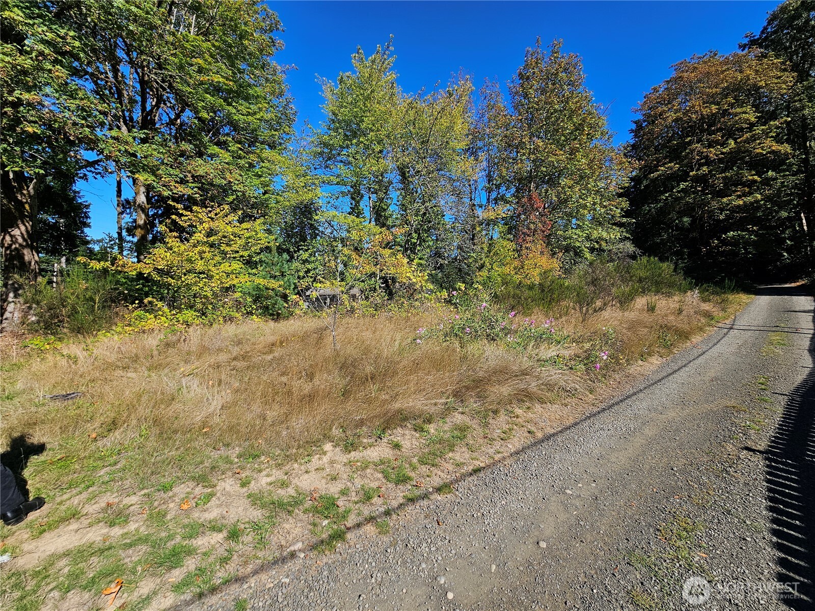 22550 Ne Sr-3 Highway Property Photo 5