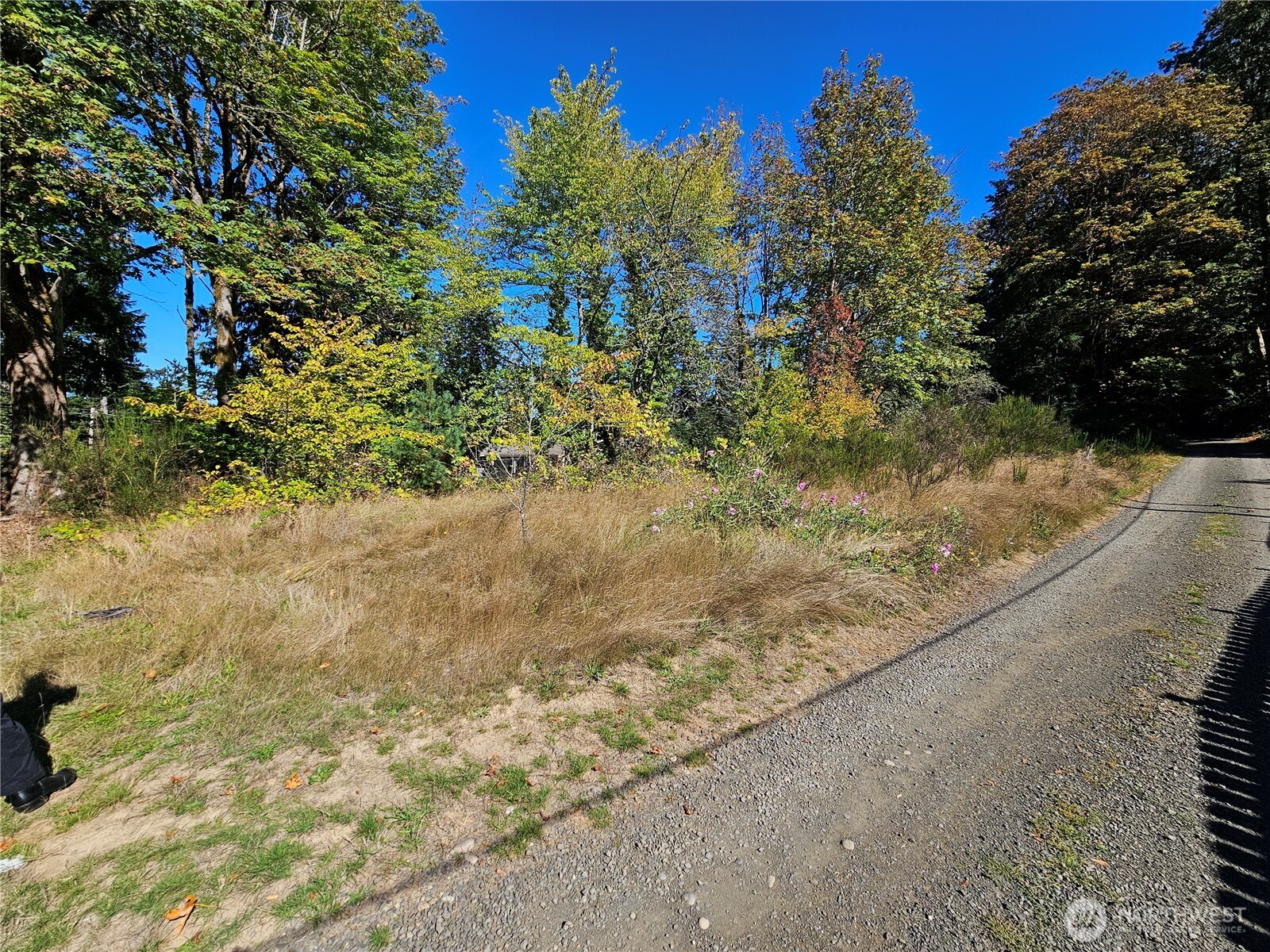 22550 Ne Sr-3 Highway Property Photo 6