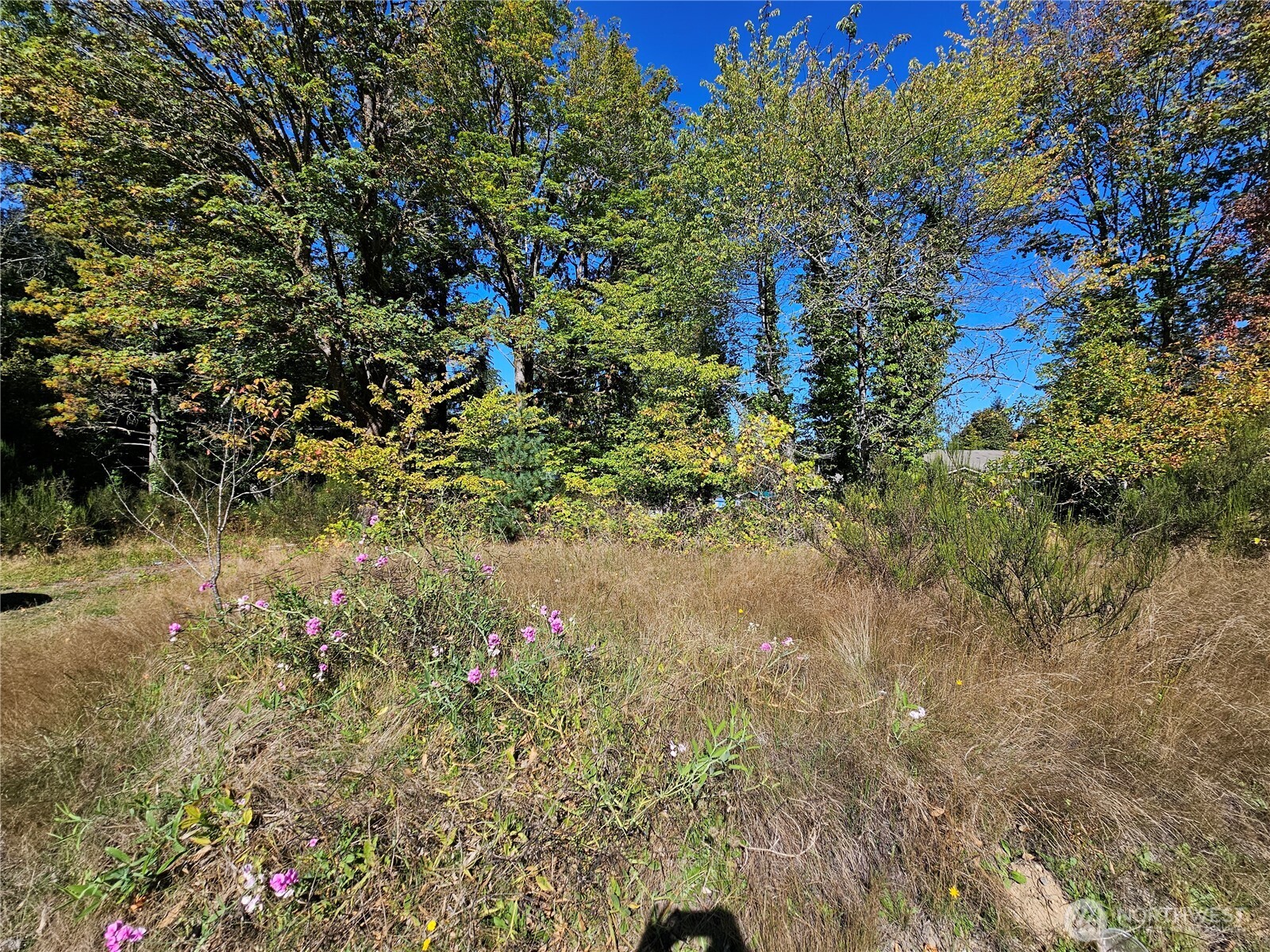 22550 Ne Sr-3 Highway Property Photo 9