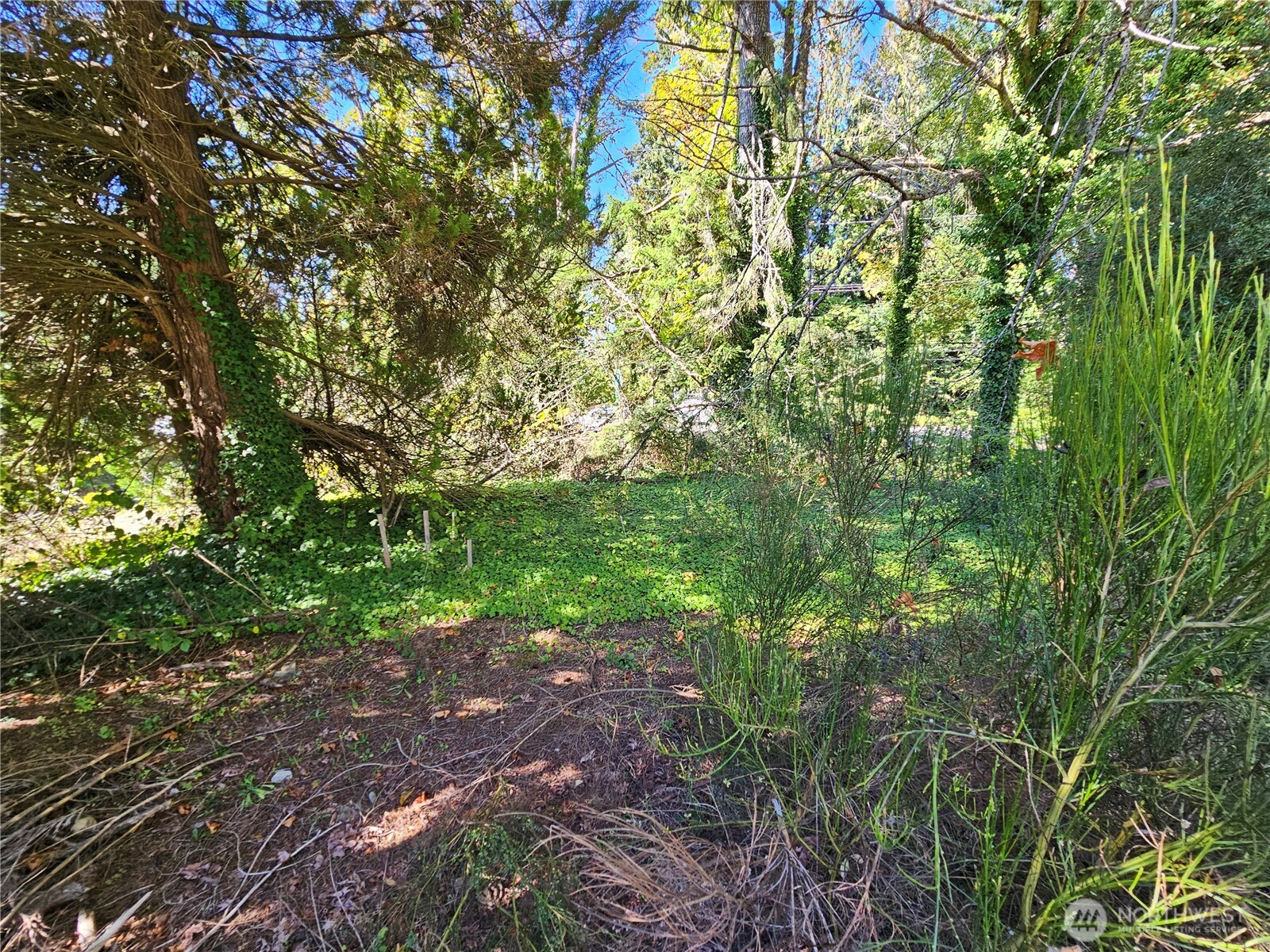 22550 Ne Sr-3 Highway Property Photo 11