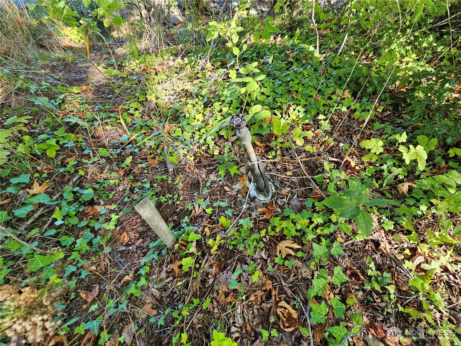 22550 Ne Sr-3 Highway Property Photo 12